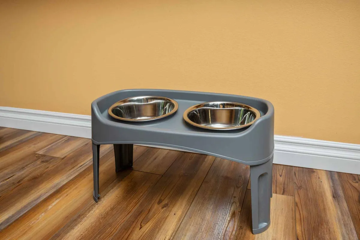 A close-up of pet food and water bowls set against a colorful wall, highlighting a dedicated space inside the home for caring for pets. The setup is inviting and suggests the home is well-prepared for guests with animals.