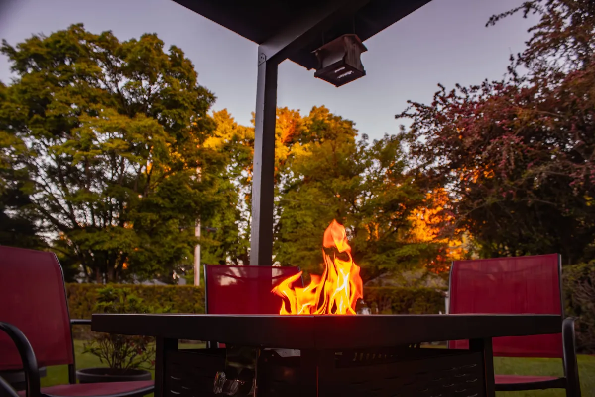 An inviting backyard scene featuring a fire pit surrounded by red chairs and mature trees, offering open space and natural surroundings. The area feels private and secure, with ample room for outdoor activities and relaxation.